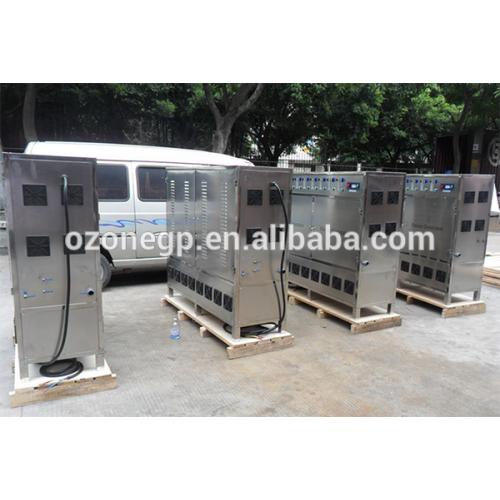6-200G Air/Water Cooling Corona Discharge Ozone Generator For Sea Food Factory